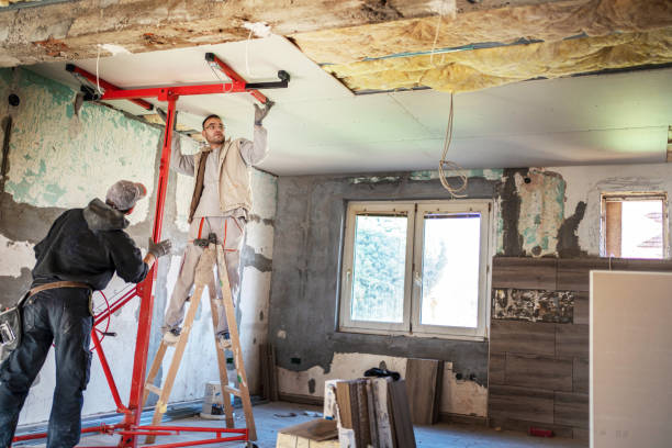 Best Insulation Materials and Products in Pecan Grove, TX