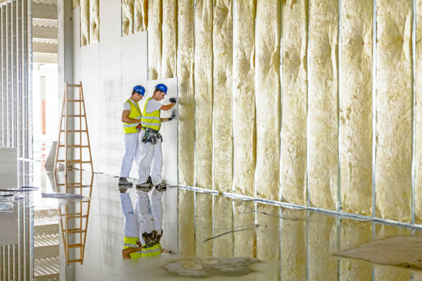 Best Insulation for Specific Applications in Pecan Grove, TX